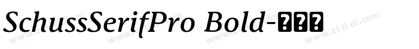 SchussSerifPro Bold字体转换